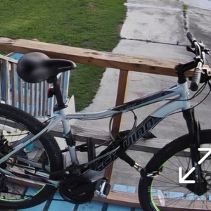 2019 Schwinn Al Comp Silver, gray or bare metal and Black