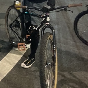 2017 Surly Karate Monkey Black