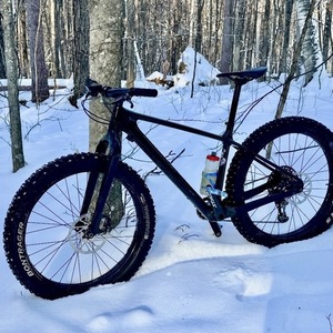 2019 Specialized Fatboy comp Black