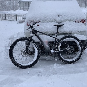 2019 Specialized Fatboy comp Black