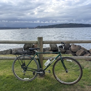 1993 Trek 730 Multitrack Green