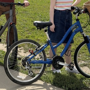 2011 Schwinn Sierra 21 Blue