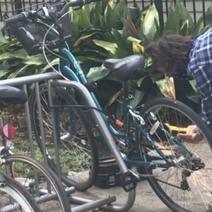 2012 Trek Verve Green