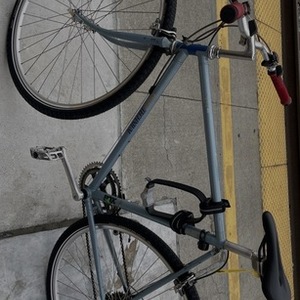 Raleigh Technium Blue