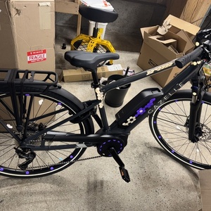 Gazelle Medeo T9 Silver, gray or bare metal