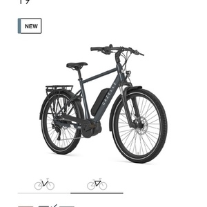 Gazelle Medeo T9 Silver, gray or bare metal