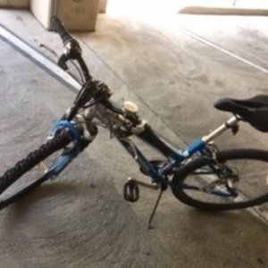 2009 Schwinn Mountain Blue
