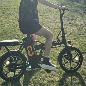 Goplus Folding e-bike Black