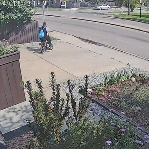 Goplus Folding e-bike Black