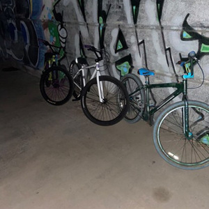 2018 SE Bikes Big Ripper Silver, gray or bare metal and Green