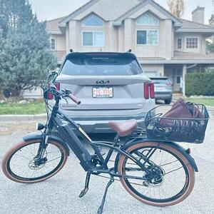 Magnum Bikes Lowrider Brown and Black