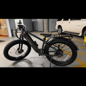 2025 Lectric eBikes XPEAK 2.0 Silver, gray or bare metal