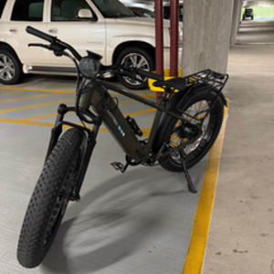 2025 Lectric eBikes XPEAK 2.0 Silver, gray or bare metal