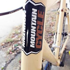 Mountain Cycles Stumptown White