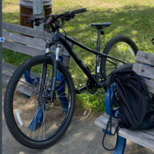 2026 GT Bicycles Q121 Black and Silver, gray or bare metal