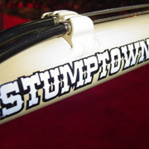 Mountain Cycles Stumptown White