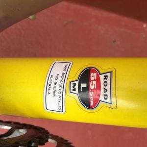 1999 Giant TCR-2 Yellow or Gold and Black