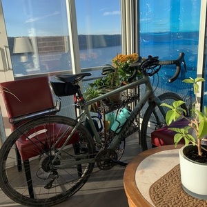 2021 Specialized Diverge (Base) Green