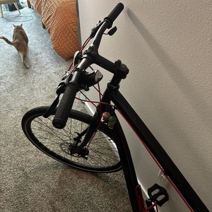 2008 Marin Bikes Muirwoods Black