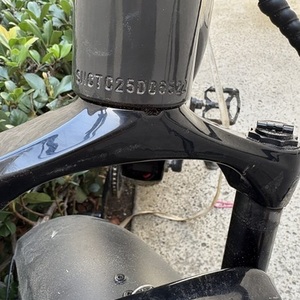 2025 Lectric eBikes XPEAK 2.0 Silver, gray or bare metal