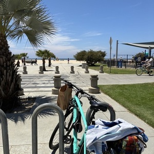 2022 Specialized Teal