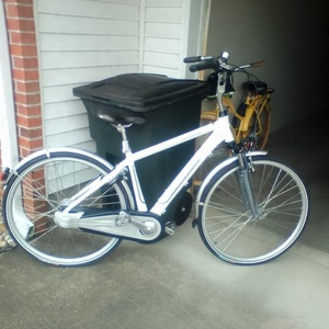 Schwinn Tailwind White