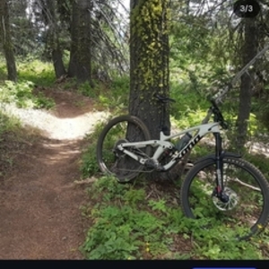 2019 Kona Process 153 CR DL 29 White