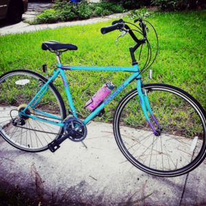 1988 Peugeot Adirondack Teal and Purple