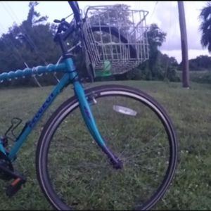1988 Peugeot Adirondack Teal and Purple