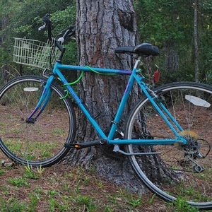 1988 Peugeot Adirondack Teal and Purple