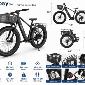 2026 Hiboy P6 Black