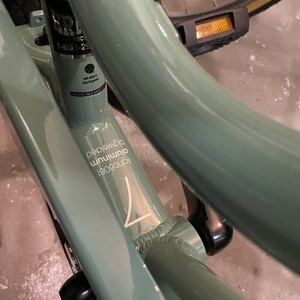 Electra Townie 7D step thru Green and Black