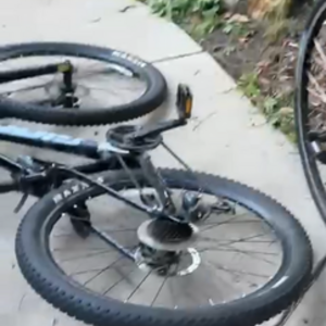 Giant Talon Black