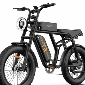 2024 URLIFEEBIKE T2 Black