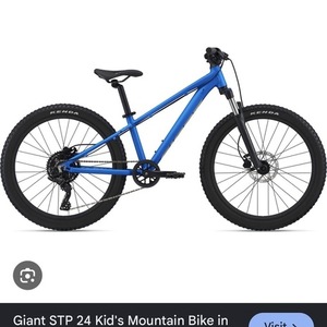 2022 Giant STP Blue