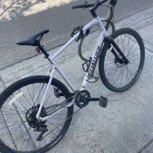 2022 Specialized Sirrus x 2.0 Purple and Silver, gray or bare metal