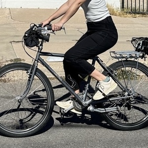 2019 Rivendell Bicycle Works Clem Smith Jr. H style Silver, gray or bare metal