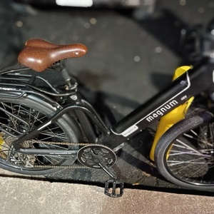 2026 Magnum Bikes White and Black