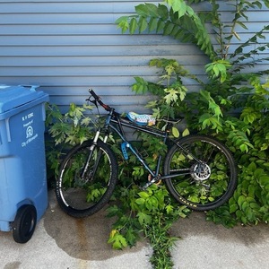 2013 Salsa El Marachi Blue and Orange