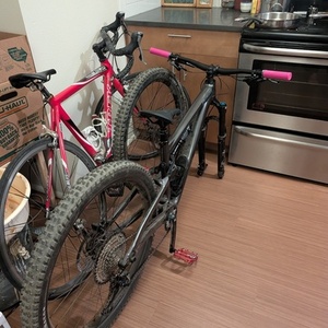 2025 Specialized Stumpjumper Silver, gray or bare metal