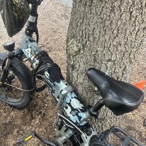 2025 AIMA E-Bike Aipas F3 avenger Blue