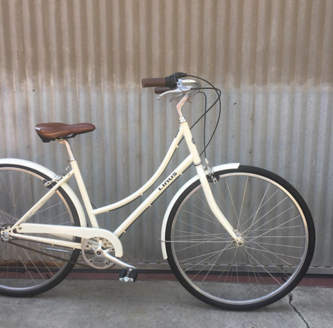 linus dutchi 3 stores