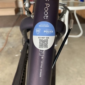 2023 Electra Townie 7D Step over Purple
