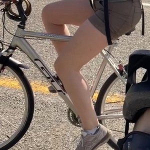 2000 GT Bicycles Nomad Silver, gray or bare metal