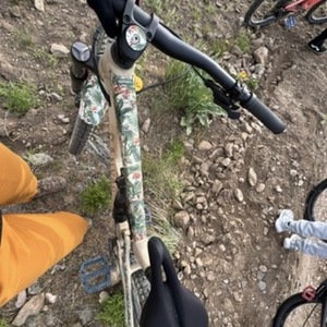 2023 Canyon bicycles Spectral 4 Stickers tape or other cover-up