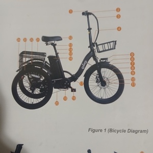 Qlife Folding Electric Trike 750w tricycle Black