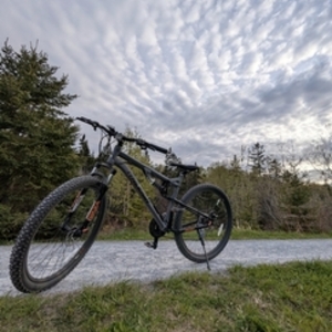 Raleigh Peak - Dual Suspension Mountain Bike Silver, gray or bare metal