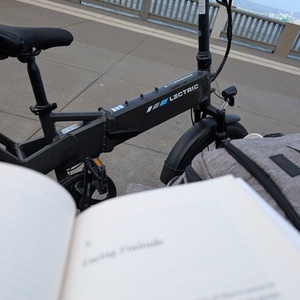 2025 Lectric eBikes Lectric XP4 Tempest grey Silver, gray or bare metal and Black