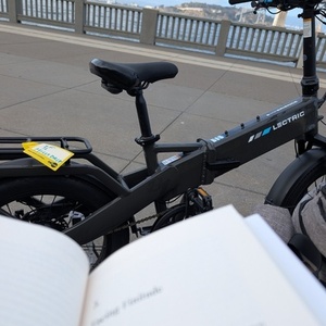 2025 Lectric eBikes Lectric XP4 Tempest grey Silver, gray or bare metal and Black