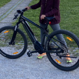 2022 Specialized Turbo Tero 3 Green
